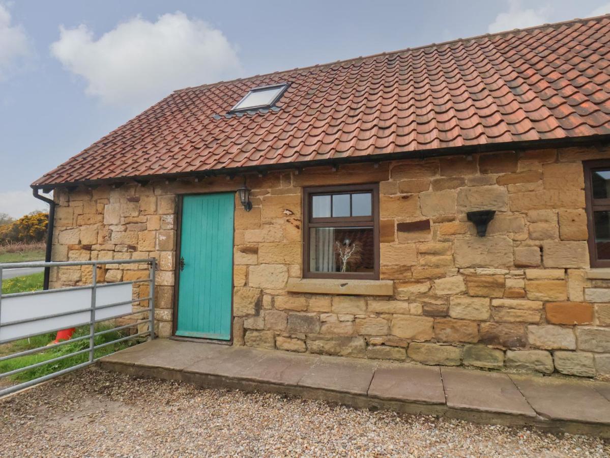 Cow Byre Cottage ウィットビー エクステリア 写真